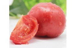 西紅柿水果 新鮮蔬菜普羅旺斯番茄 原汁原味酸甜可口 現摘現發