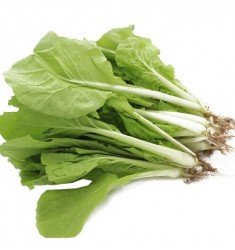小白菜 绿色认证新鲜蔬菜火锅涮菜2斤装 小白菜2斤