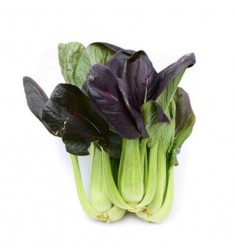 彩虹云寶 有機青菜蔬菜 紫葉小白菜250g