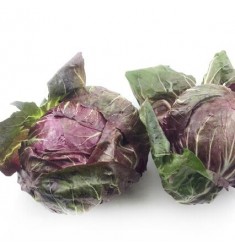 新鮮蔬菜落地球生菜紫苣綠葉紅包菜紅菊苣生菜5斤