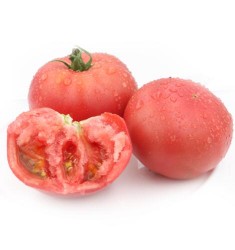 有机西红柿 普罗旺斯大番茄 欧盟美国有机认证 西红柿 新鲜蔬菜 沙拉蔬菜