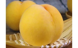 黄桃 1.5kg 6-9粒装 新鲜水果